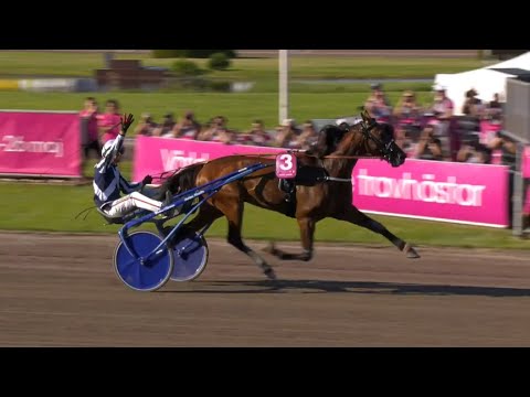 Elitloppet final 2024 - Horsy Dream