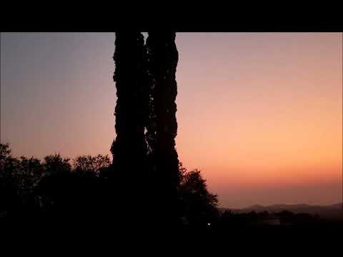 Brecker Brothers, Berlin (1995)