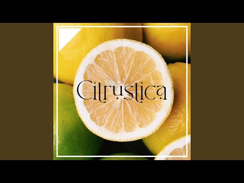 シトラス オーランティウム (ビター オレンジ): それは何なのか、何のためにあるのか、そして副作用は何なのか