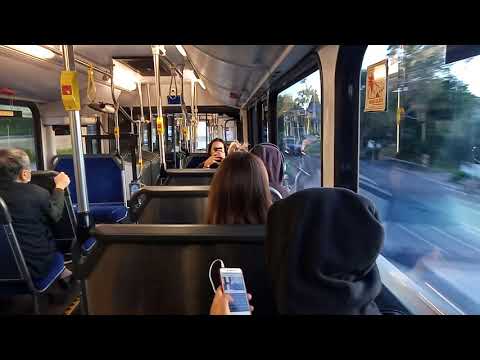 Forest Coach Lines - 5010 - Volvo B12BLEA Euro 4/CC CB60 Evo 2[Terrey Hills](270 - Wynyard)