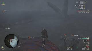 【MHWs】遅れて踏みいった禁足地【#05】