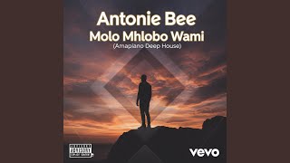 Download lagu Molo Mhlobo Wami (Amapiano Deep House) mp3