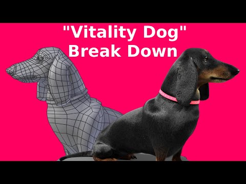 Vitality Dog