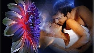 Saisir le Jour - Lara fabian