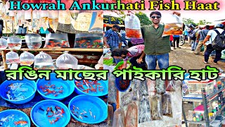 Ankurhati Pet Market | Howrah Ankurhati Pet Market | Pet Market Ankurhati | Pet Market