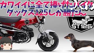 可愛さのために捧げたカブシリーズの集合体「ダックス125」。【ゆっくり解説】