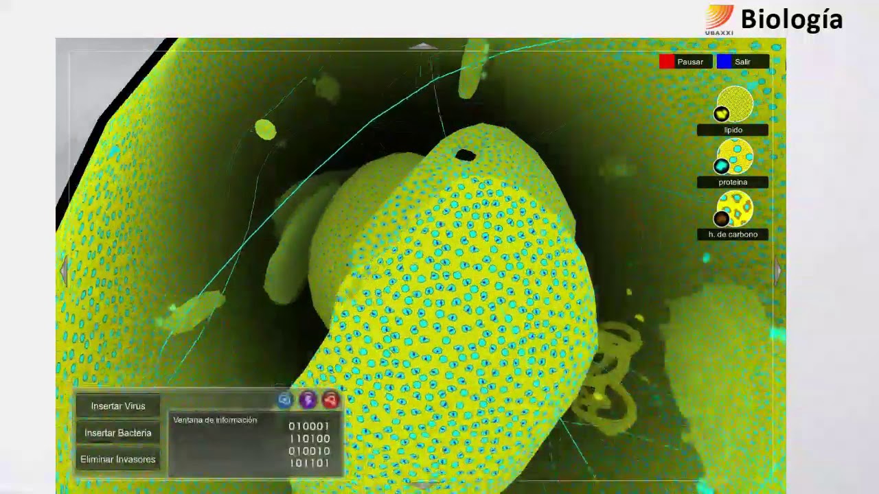 15- Biología.Visualización de las biomoléculas en 3D