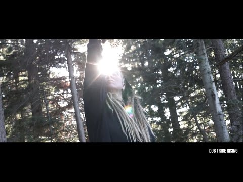 DUB TRIBE RISING feat. LEE 'SCRATCH' PERRY (RMX) - NO MUD NO LOTUS (prod. MONSIEUR KNABBERDUB)