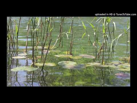 Today's Tango Is... Quedémonos Aquí - Enrique Francini 20-12-1956