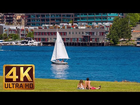 4K Cityscapes | Seattle Relax Video - Views from Gas Works Park - 1 HR
