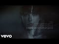 Taylor Swift - no body, no crime ft HAIM (Music Video)