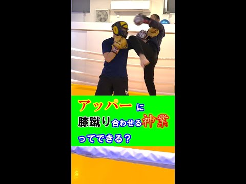 【神業？】アッパーに膝蹴りカウンターできる？#Shorts