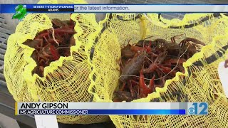 Mississippi Mudbug Festival kicks off at State Fairgrounds
