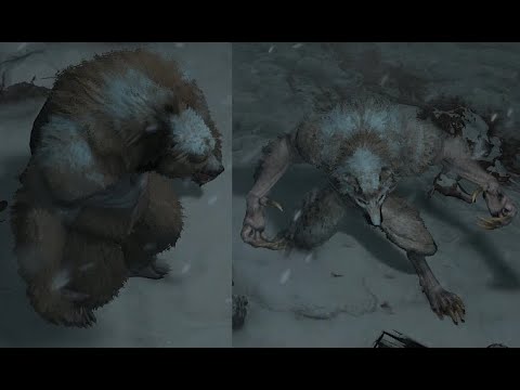 Diablo 4 Werewolf is a MONSTER
