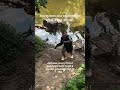 He Couldn’t Contain His Excitement: Creek Smallies HIT DIFFERENT 🔥❤️