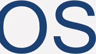 NO MERCY FOR THE WEAK