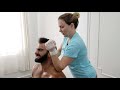 DEEP GNAWING Arm Pain RELEASED UNLOCKED Chiropractic SPINAL CRACKS For Pain Relief Mondragon DC