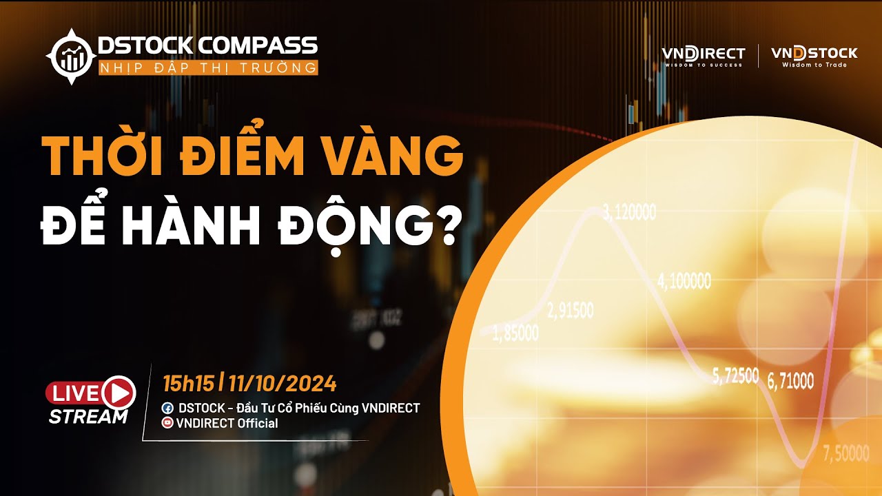 THỜI ĐIỂM VÀNG ĐỂ HÀNH ĐỘNG? | NHỊP ĐẬP THỊ TRƯỜNG 11/10/2024