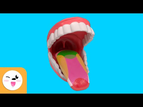 El sentido del gusto - ¿Cómo funciona? - Los sentidos para niños