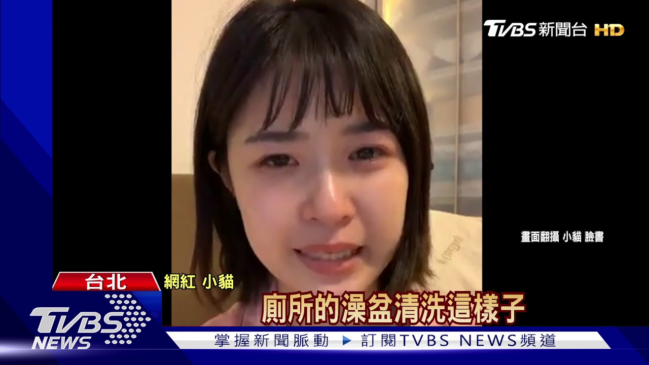 業配將嬰放流理臺洗澡　網紅小貓直播淚歉