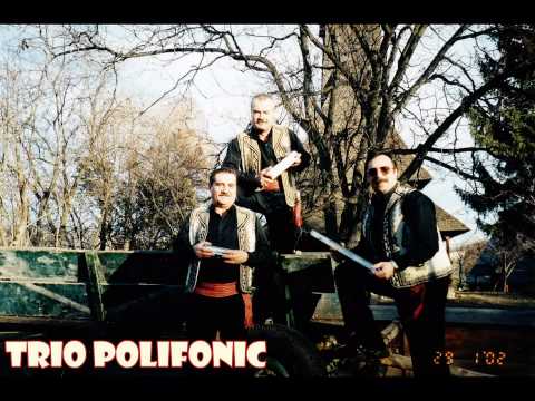 Trio Polifonic - Hora de la Chisinau