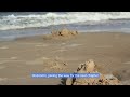 59-01-49 Echoes of Manyoshu in America(万葉集):Harmony in Motion  A Poetic Journey Through Nature
