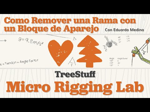Como Remover una Rama con un Bloque de Aparejo - TreeStuff Micro Rigging Lab