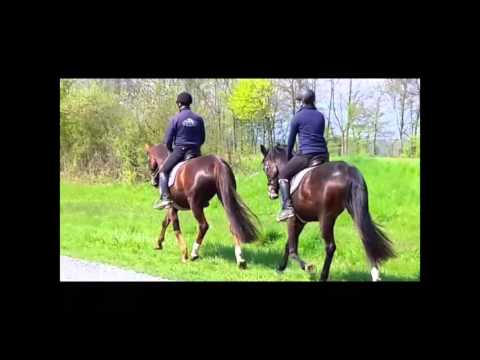 Dolores (Damon Hill * Florencio)