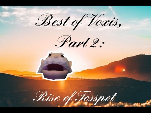 Best of Voxis, Part 2 - Rise of Professor Tosspot