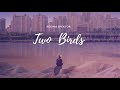 Vietsub Two Birds Regina Spektor Nhạc Hot TikTok Lyrics Video
