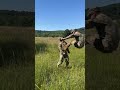 Infantry talking smack to cav scout