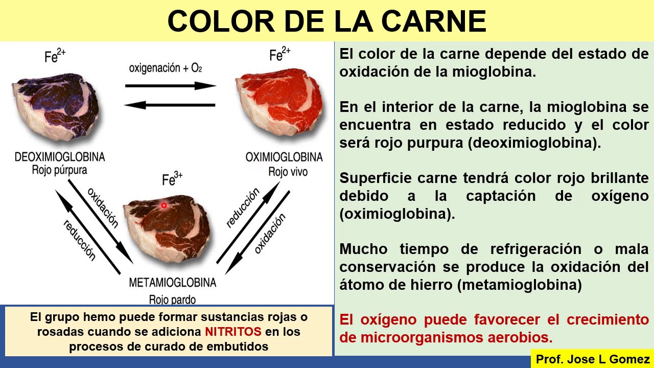 BROMATOLOGIA: CARNE