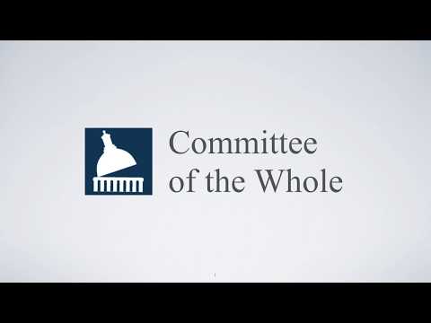 Committee of the Whole
