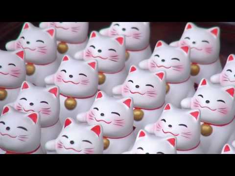 茨城県ひたちなか市への移住【メリットやデメリット】｜移住マップ