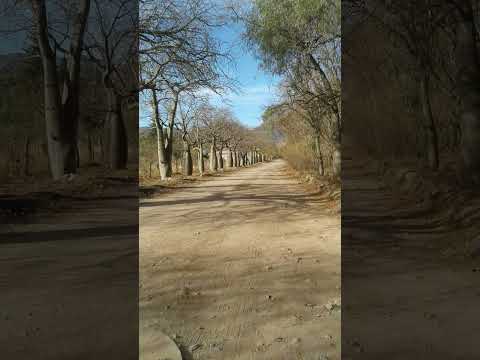 lujan. san luis