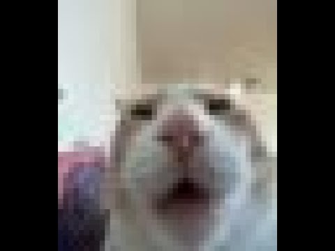 "*screw you DustDustDustDustDustDust!Sans"