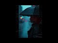 Don't Count The Rainy Days : Michael Martin Murphy