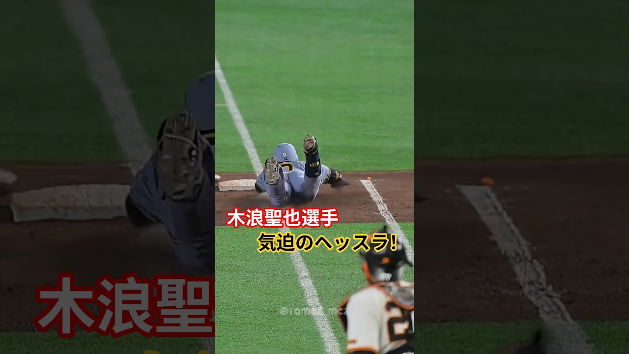 【阪神】木浪聖也選手気迫のヘッスラ #阪神タイガース #プロ野球
