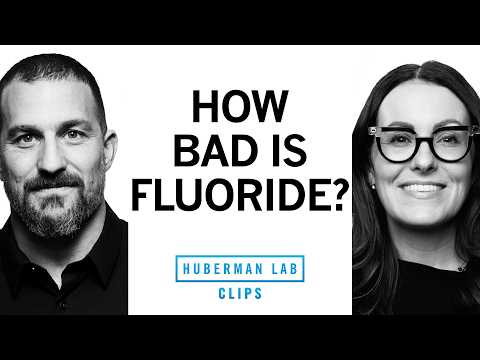 The Truth About Fluoride | Dr. Staci Whitman & Dr. Andrew Huberman