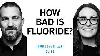 The Truth About Fluoride | Dr. Staci Whitman & Dr. Andrew Huberman