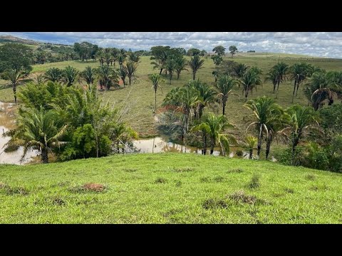 Chácara / Sítio / Fazenda - Venda - Cocalzinho de Goiás, Goiás