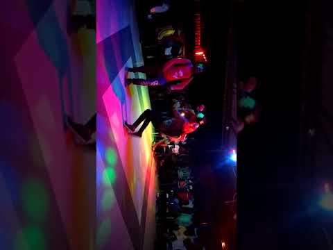 Actuação do Haidy do Shine