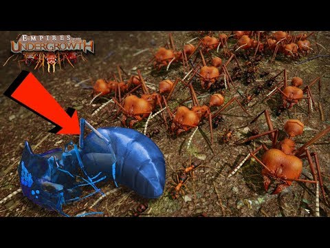 I GOT YOUR QUEEN!!! | The Leaf Cutters - Empires Of The Undergrowth - Ep11