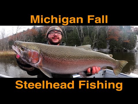 Michigan Fall Steelhead Fishing