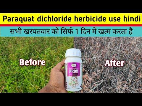 Quit Paraquat Dichloride 24% Sl Non Selective Herbicide