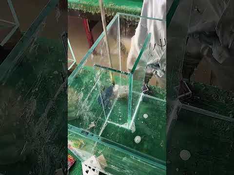 Tank double overflow water assembly process- Good tools and machinery make work easy