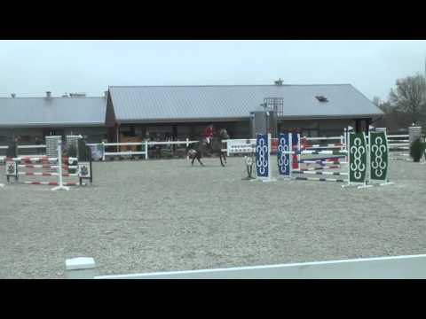 CONELLA I 6yo Connor/Capitol I Bobrowy