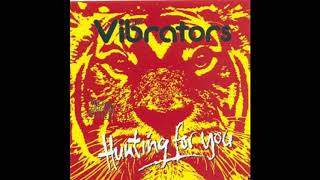 Vibrators  - Hey hey hey