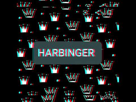 Baki Feat. Steve BPA - HARBINGER