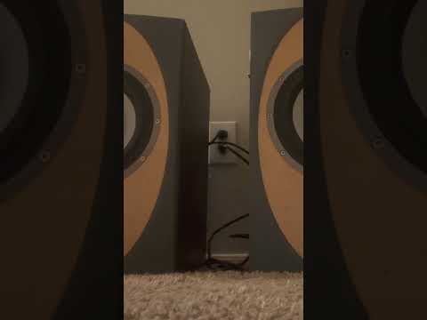 Tannoy Precision 8D Monitors - Pair - Open to offers image 10